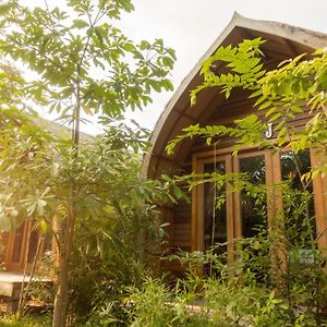 Bamboo Bungalow