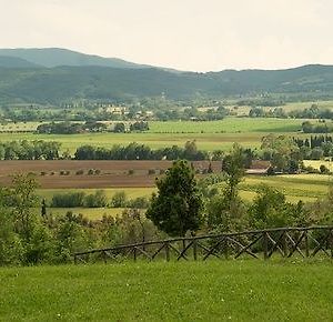 Agriturismo & Cantina Tenuta Casteani